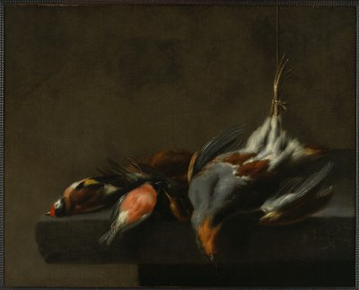 Still Life of Dead Birds, c.1660 by Jan Vonck